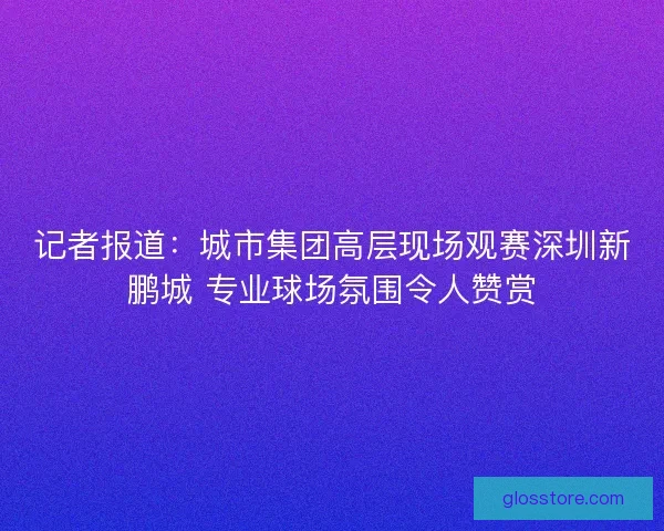 记者报道：城市集团高层现场观赛深圳新鹏城 专业球场氛围令人赞赏